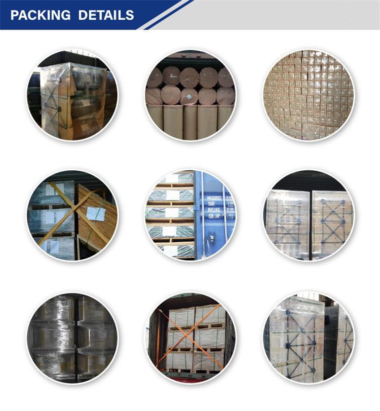 Transparent Colored Plexiglass Sheets (12)